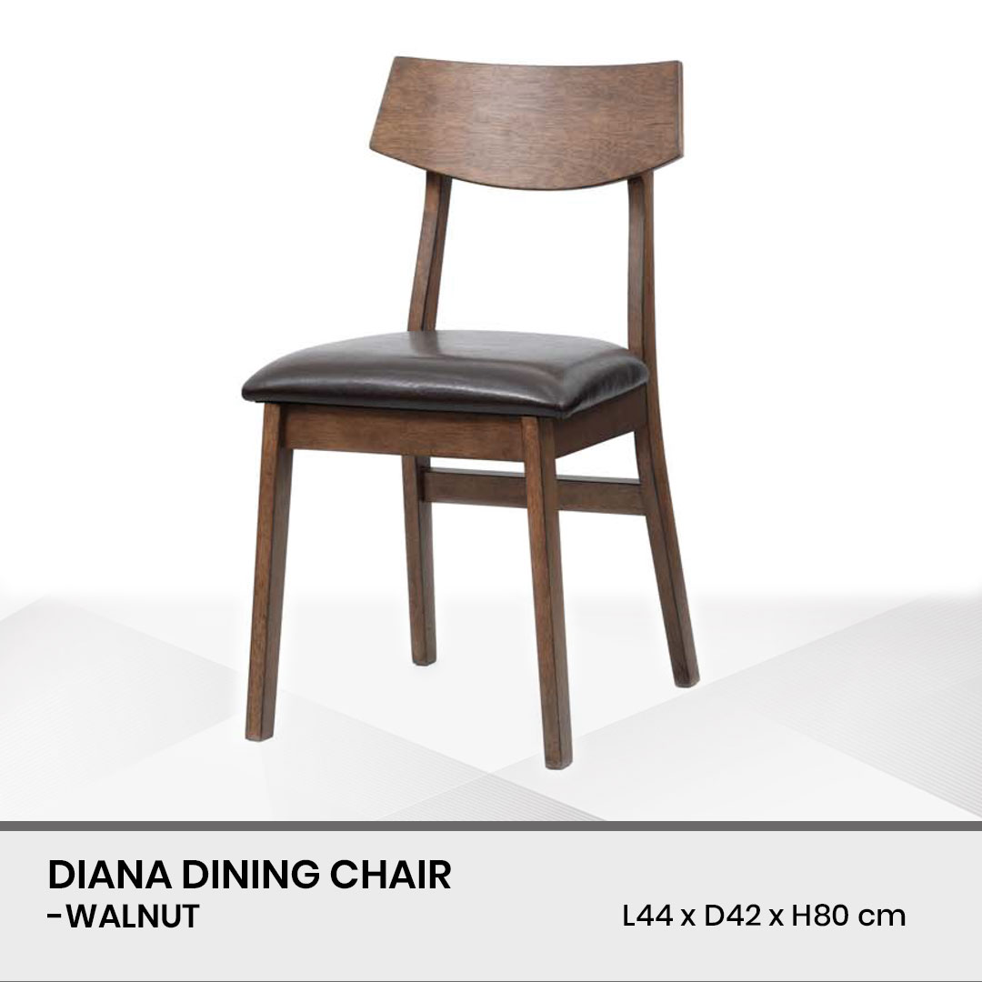 KN-040425-171-DIANA